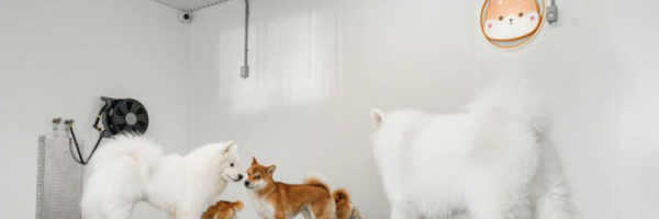 screenshot_2025-03-11_at_3_48_47_pm